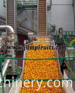 Automatic fruit juice processing plant 